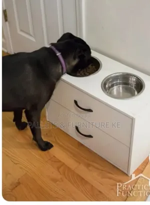 Dog Feeding Station