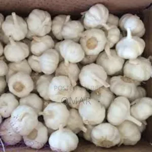 10kg Carton Imported White Garlic