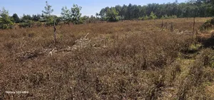 1 Acre Land For Sale In Kipkorgot Eldoret