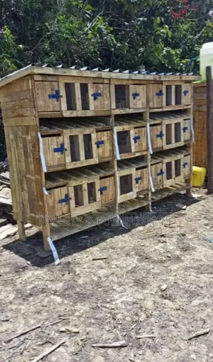 Self Cleaning Chick Chalet