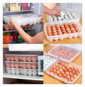 Egg Tray Egg Tray Hold 24 Eggs