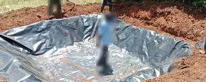 Sustainable Fish Farming With Dam Liners
