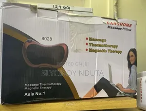 Car and Home Massage Pillow