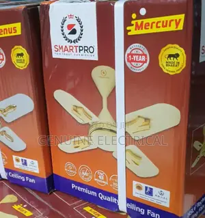 Smart Pro 24 Inches Premium Quality Ceiling Fan PF