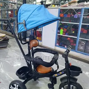 Push Tricycle With Canopy