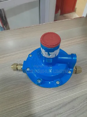 REGO Regulator for School Lab Installation