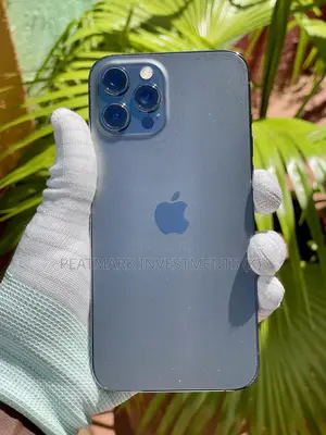 Apple iPhone 12 Pro Max 256 GB Gray
