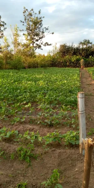 Prime 0.4 Acre Land for Sale in Juja With a 2 Bedroom House