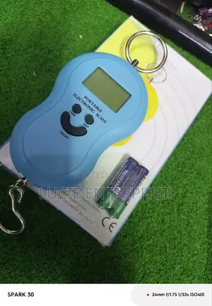 Portable Weighing Scale 50kgs