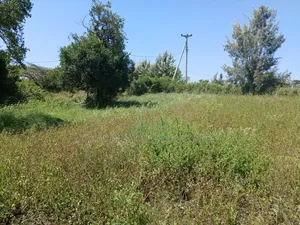 Prime Full Eighth Acre 800m Off Tarmac in Kiserian