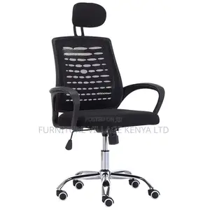 Mesh Study Chair With Lumbar Support, Headrest