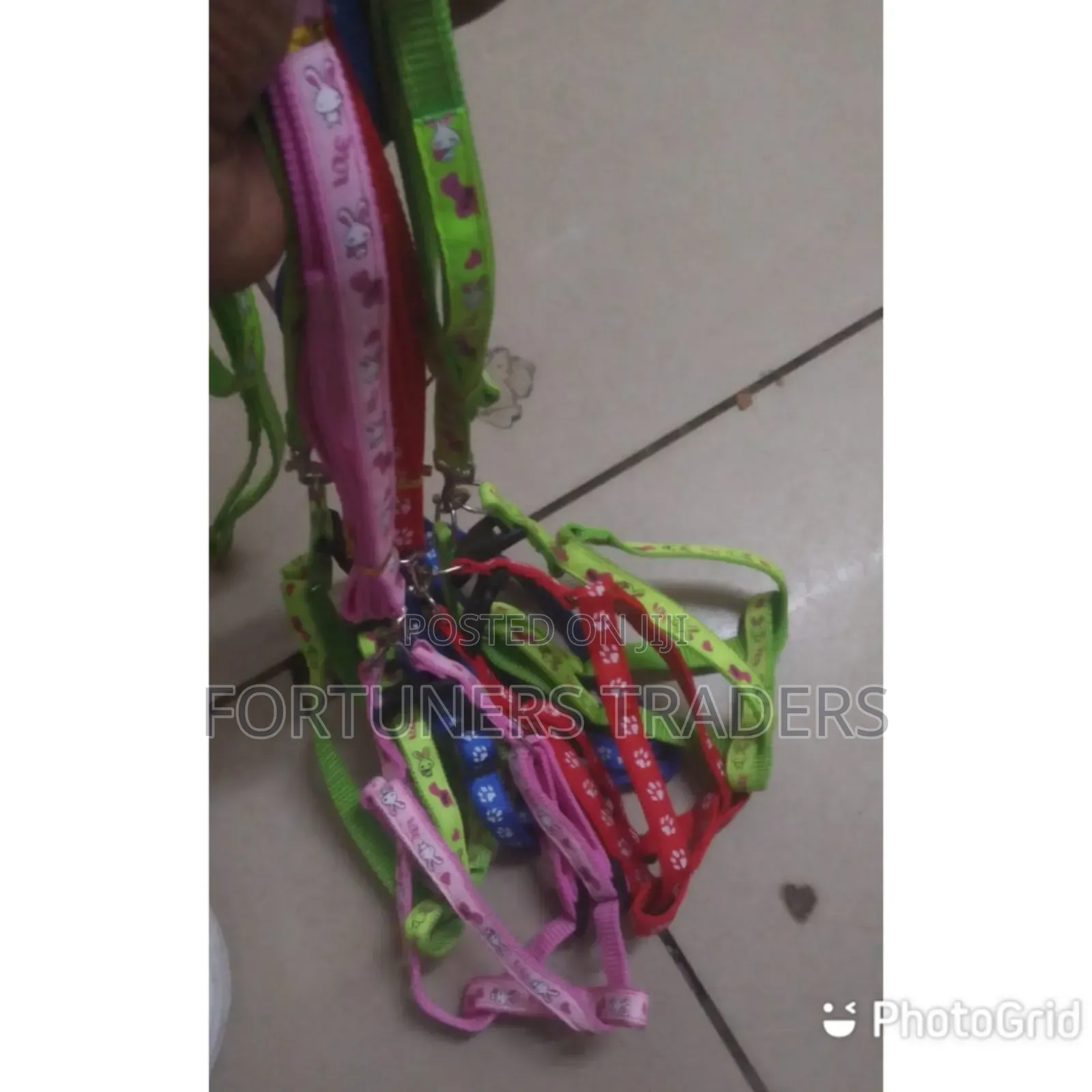 Chiwawa Dog Leash