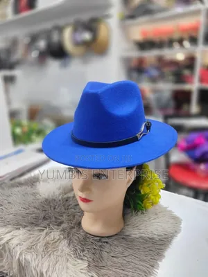 Stylish Fashionable Unisex (Fedora) Hats 700