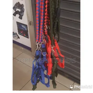 Dog Leash 