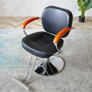 Imported Salon Seats/ Styling Chair