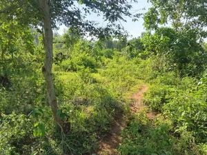 3.5 Acres at Masii Makutano Ma Mwala