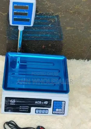 40 KGS Digital Computing Weighing Scale + Arm W40S