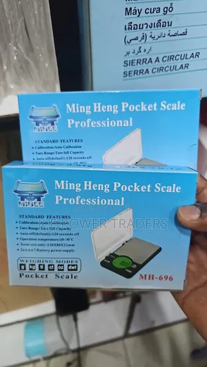 LED Display Gram Scale