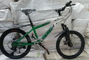 Size 20 Bike, Mountain Bike Size 20