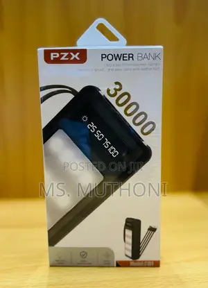 30000mah Powerbank With Inbuilt Cables LED Floodlight