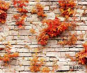 Decorative Wallpapers