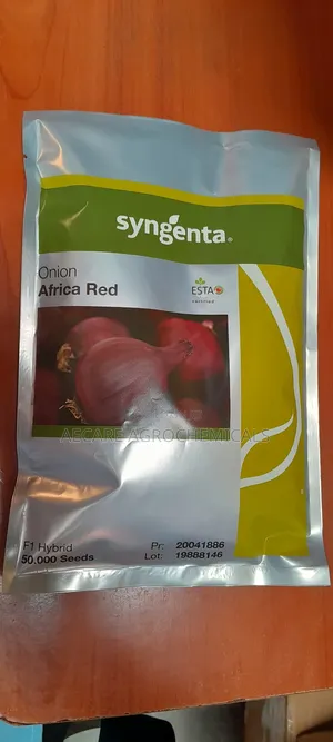 Hybrid Onion African Red Seeds F1 50,000 Seeds