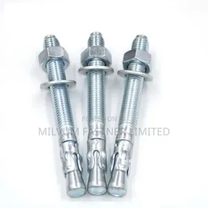 Wedge Anchors