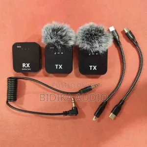 Dual Wireless Microphone With Noise Reduction