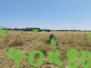 40x80 Plot on Sale at Kantafu