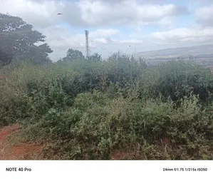 5acres Land on Sale in Konza,Machakos, Kenya