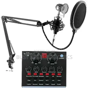 Professional USB Studio Condenser Microphone With Sound Card