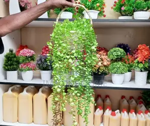 Home Wall Decoration With Hanging Vines