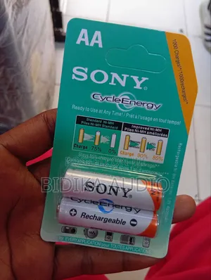 Original Double Aa Rechargeable Sony Battery