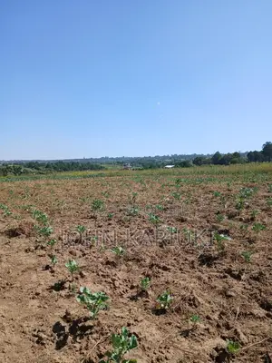 50x100 Plots in Naivasha Nyamathi Gd Area With View of Lake