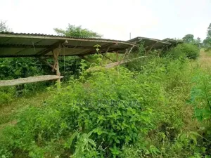 12 Acres Thika Ngoliba 2.6 Per Acre