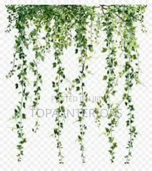 Aesthetic Hanging Vines for House Decoration