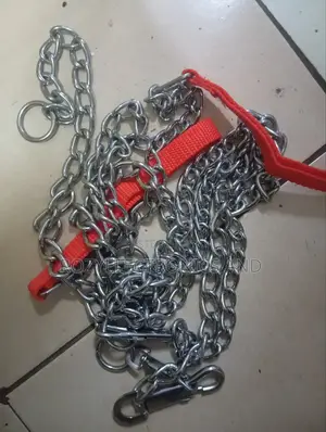 Dog Chain Dog Chain