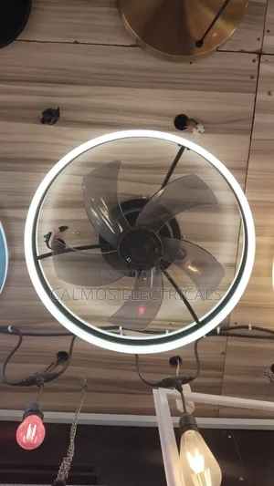 Ceiling Light With Fan