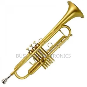 Suzuki Professional Cornet Silver Gold