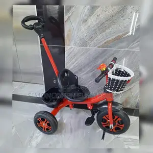 Tricycle With Push Handles