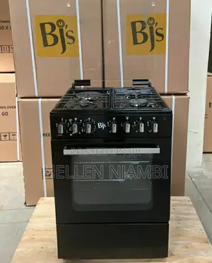 BJS 3g+1e Electric Cooker