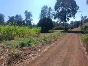 Residential Plots for Sale Kanunga Kiambu.