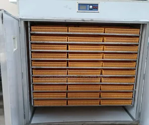 Affordable 1056 Eggs Incubator
