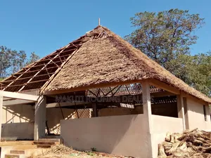 Professional Makuti Thatchers