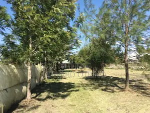 1.13 Acre and 1 Bedroomed Cottage for Sale