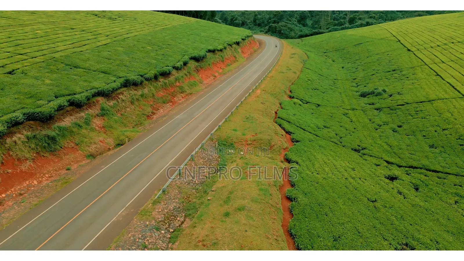 Drone Services