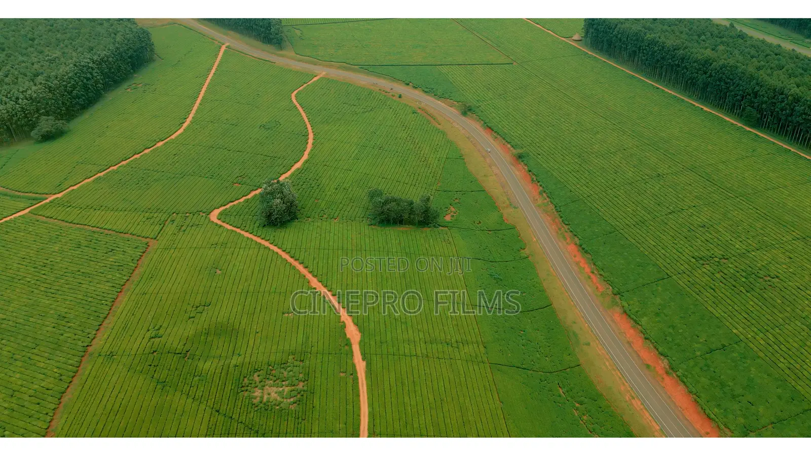 Drone Services