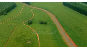 Drone Services