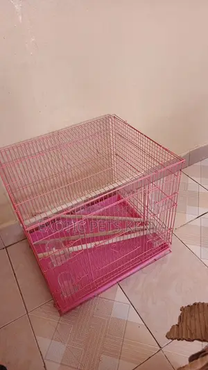 Spacious Bird Cages