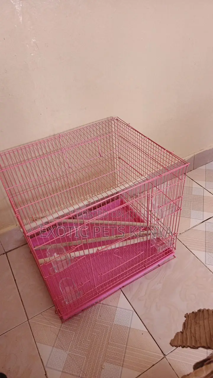 Spacious Bird Cages